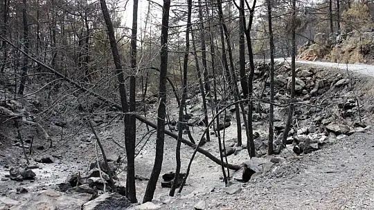 Komandolar karadan helikopterler havadan Bayır köyünü kurtarmaya çalışıyor