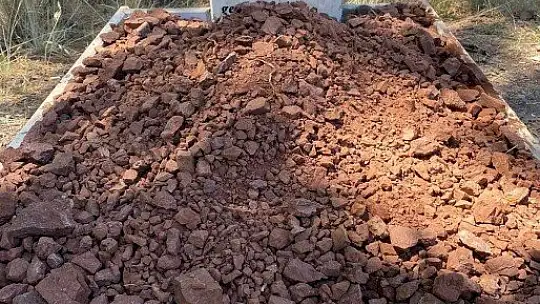 Köpeğinin mezarını tahrip edenler hakkında suç duyurusunda bulundu