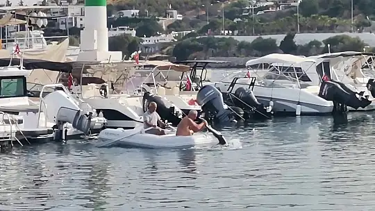 Köpek balığının yardımına koştular