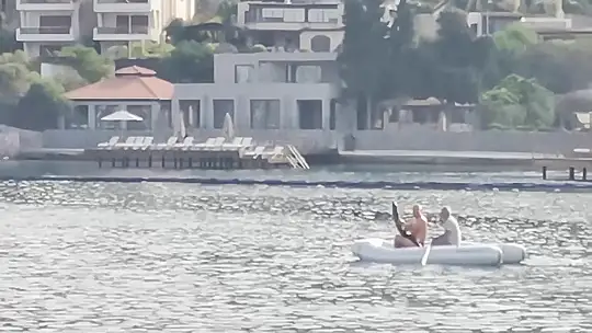 Köpek balığının yardımına koştular