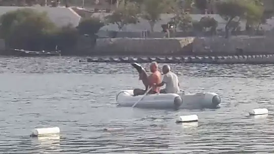 Köpek balığının yardımına koştular