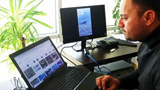 KORUMA ALTINDAKİ KÖPEKBALIĞI, KIYIYA YAKIN GÖRÜNTÜLENDİ