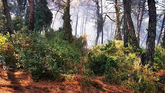 Kovayı, damacanayı kapan yangına koştu