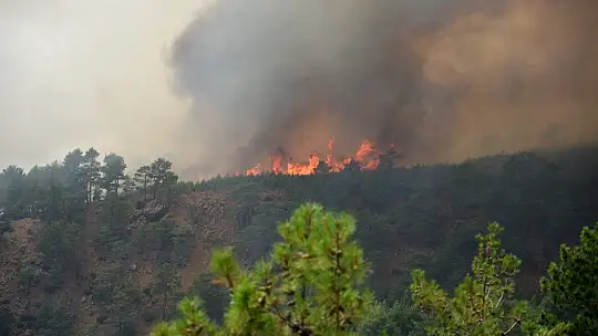 Köyceğiz'de 1 mahalle daha boşaltılıyor