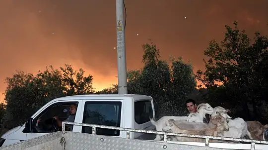 Köyceğiz'de 5 mahalle tahliye edildi