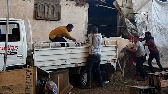 Köyceğiz'de 5 mahalle tahliye edildi