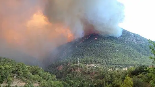 Köyceğiz'de 5 mahalle tahliye edildi