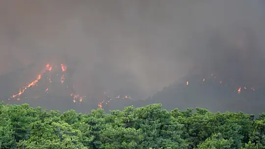 Köyceğiz'de 5 mahalle tahliye edildi