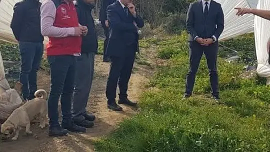 Köyceğiz'de alabalık ve çilek üretim alanlarında incelemelerde bulunuldu