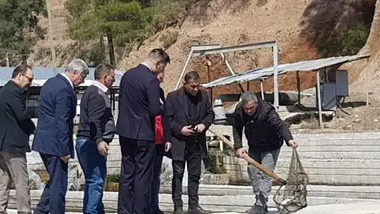 Köyceğiz'de alabalık ve çilek üretim alanlarında incelemelerde bulunuldu