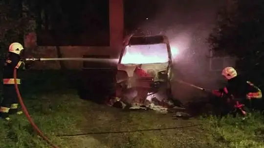 Köyceğiz'de araç yangını