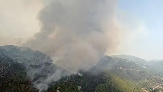 Köyceğiz'de dumanlar tekrar yükseldi