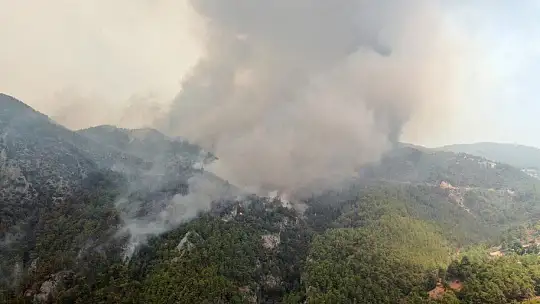 Köyceğiz'de dumanlar tekrar yükseldi