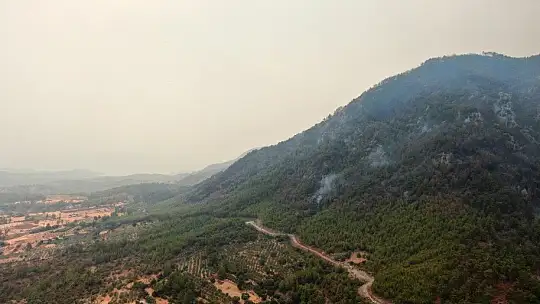Köyceğiz'de dumanlar tekrar yükseldi