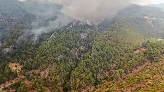 Köyceğiz'de dumanlar tekrar yükseldi