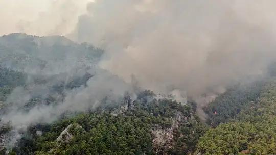 Köyceğiz'de dumanlar tekrar yükseldi