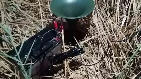 Köyceğiz'de kaçak avcılıkta kullanılan ses cihazı ele geçirildi