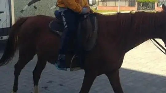 KÖYCEĞİZ'DE ÖĞRENCİLER GELENEKSEL SPOR OYUNLARI İLE TANIŞTI