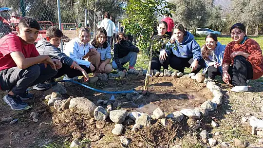 KÖYCEĞİZ'DE OKUL BAHÇESİNİ MEYVE AĞAÇLARI İLE DONATTILAR