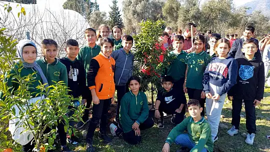 KÖYCEĞİZ'DE OKUL BAHÇESİNİ MEYVE AĞAÇLARI İLE DONATTILAR