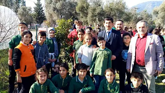 KÖYCEĞİZ'DE OKUL BAHÇESİNİ MEYVE AĞAÇLARI İLE DONATTILAR