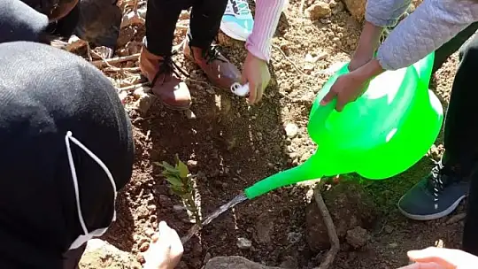 Köyceğiz'de Orman Haftası fidan dikimiyle kutlandı