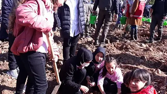 Köyceğiz'de Orman Haftası fidan dikimiyle kutlandı