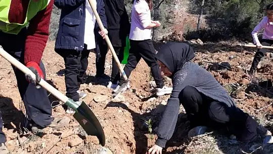 Köyceğiz'de Orman Haftası fidan dikimiyle kutlandı