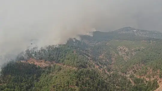 Köyceğiz'de orman yangını büyüdü, 3 kişi mahsur kaldı