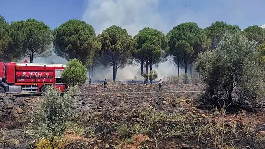Köyceğiz'de orman yangını kısa sürede söndürüldü