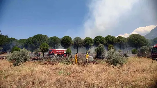 Köyceğiz'de orman yangını kısa sürede söndürüldü