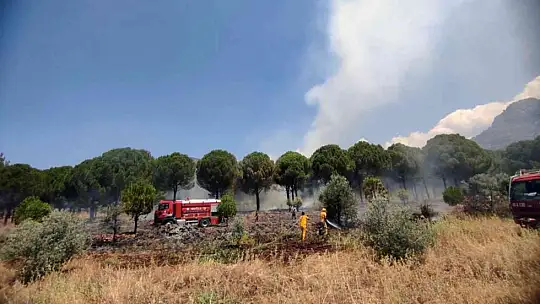 Köyceğiz'de orman yangını kısa sürede söndürüldü