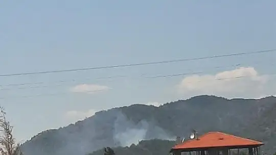 Köyceğiz'de orman yangını