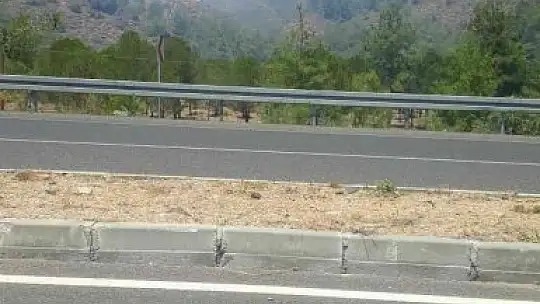 Köyceğiz'de orman yangını