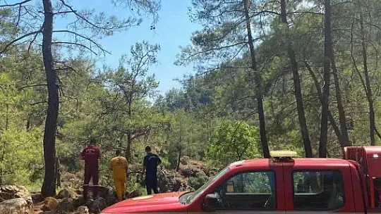 Köyceğiz'de orman yangınlarına karşı Jandarma devriye nöbetinde