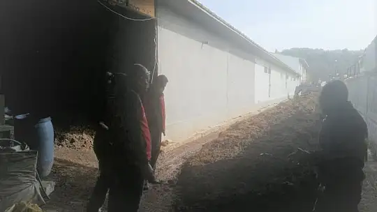 Köyceğiz'de solucan gübresi üretimi için araştırma