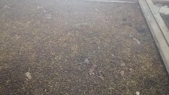 Köyceğiz'de solucan gübresi üretimi için araştırma