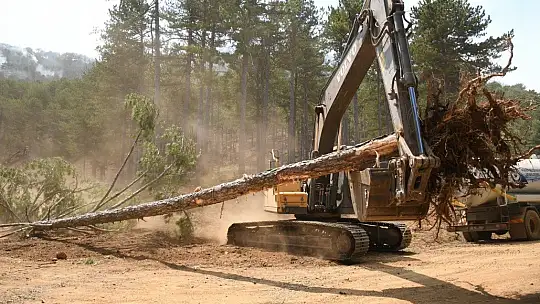 Köyceğiz'de tedbir amaçlı mahallelerin tahliyelerine devam ediliyor