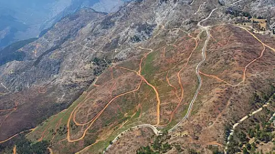 Köyceğiz'de yanan ormanlarda yaralar sarılıyor