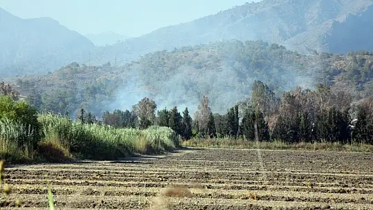 Köyceğiz'de yangın devam ediyor, Dalaman'daki yangın söndürüldü
