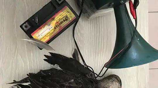 KÖYCEĞİZ'DE YASAK BÖLGEDE AV YAPAN ŞAHIS YAKALANDI