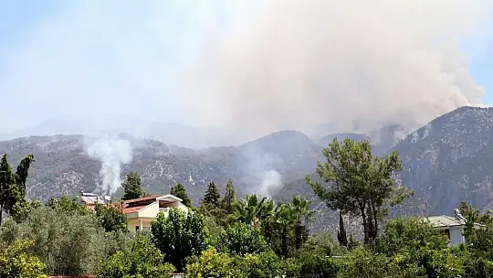 Köyceğiz'deki orman yangını devam ediyor