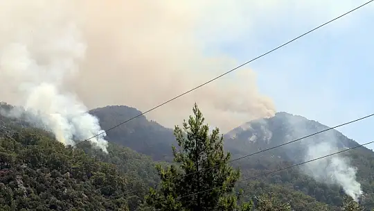 Köyceğiz'deki orman yangını devam ediyor