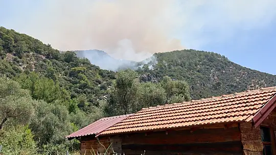 Köyceğiz'deki orman yangını devam ediyor