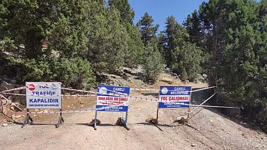 Köyceğiz'deki yangın Çameli'de dikkatle izleniyor