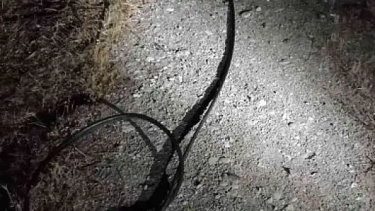 Köyceğiz Polisinden kablo hırsızlarına suçüstü