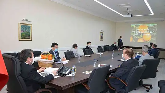 Köyceğiz Portakalı Coğrafi işaretini aldı