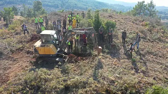 KÖYCEĞİZ VE DALAMAN ORMAN İŞLETMELERİNİN SİLVİKÜLTÜR TATBİKATI YAPILDI