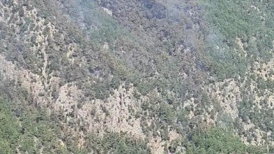 Köyceğiz yangını kontrol altına alındı