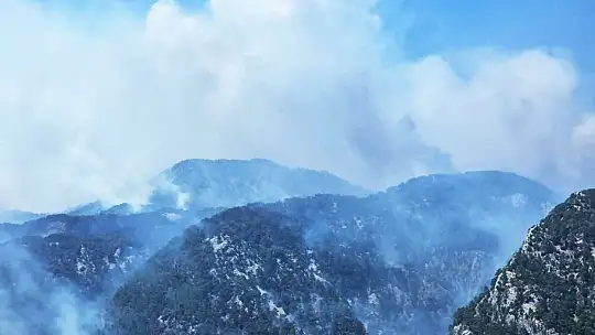 Köyceğiz yangınına 4 uçak ve helikopter müdahale ediyor